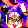 evrey_com