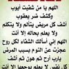 user825267335746