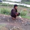 saifullah.khan380