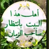 aldoctor293