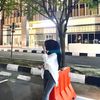 ini_eegi