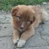 cansu.damaksz