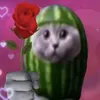 watermeloncat228