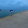riccardovandini