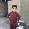 zaferali827