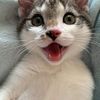 cristina_pawla