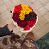 saja_aied
