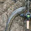 fishing_v43