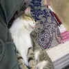 nnngyu3