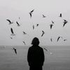 user2120163718874