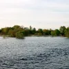 volckrduwko