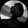 tomyyyr2231