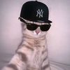 amd_zulfiras21