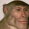 wazzub_zinggawloyeah