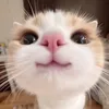 7_duonghuy