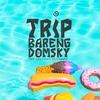 tripbarengdomsky