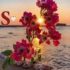 soulef606