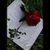 vbh.fghj