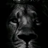 breno.guilherme88