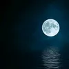 chiaro.di.luna__