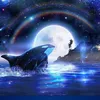 user77312711051264