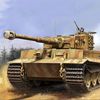 tiger_ajl