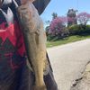 fishingisgood7