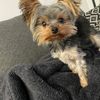 shelley2821