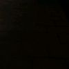 leno_290