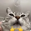 ndoxisntreal