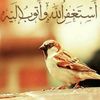 4004yussuf4004