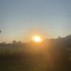pinkskies_3