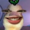 marchellmo