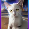 meowtopia_