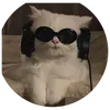 immortal_1_sage