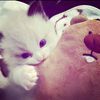 nevin.nevina1234