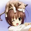meowmimimipurr