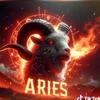 didi.aries12