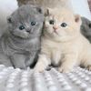 moyy_1506