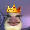 ar_nolddss