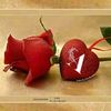 hassammushtaq3