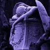 iqz65