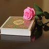 hafiz8430