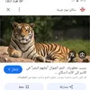 user37421261873603