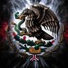 josemedina6531