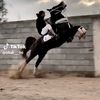 muhammadidris6282