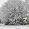 mahdin_27