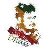 djaffa_rastaman