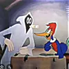 fernando.silva701
