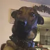 stormandfriends4